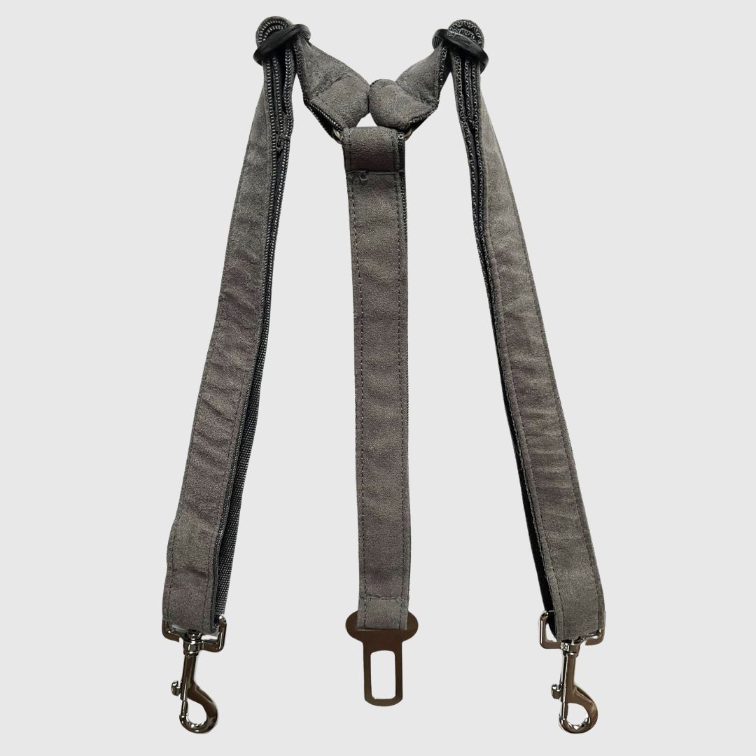 Pas bezpieczeństwa podwójny (dla dwóch psów)