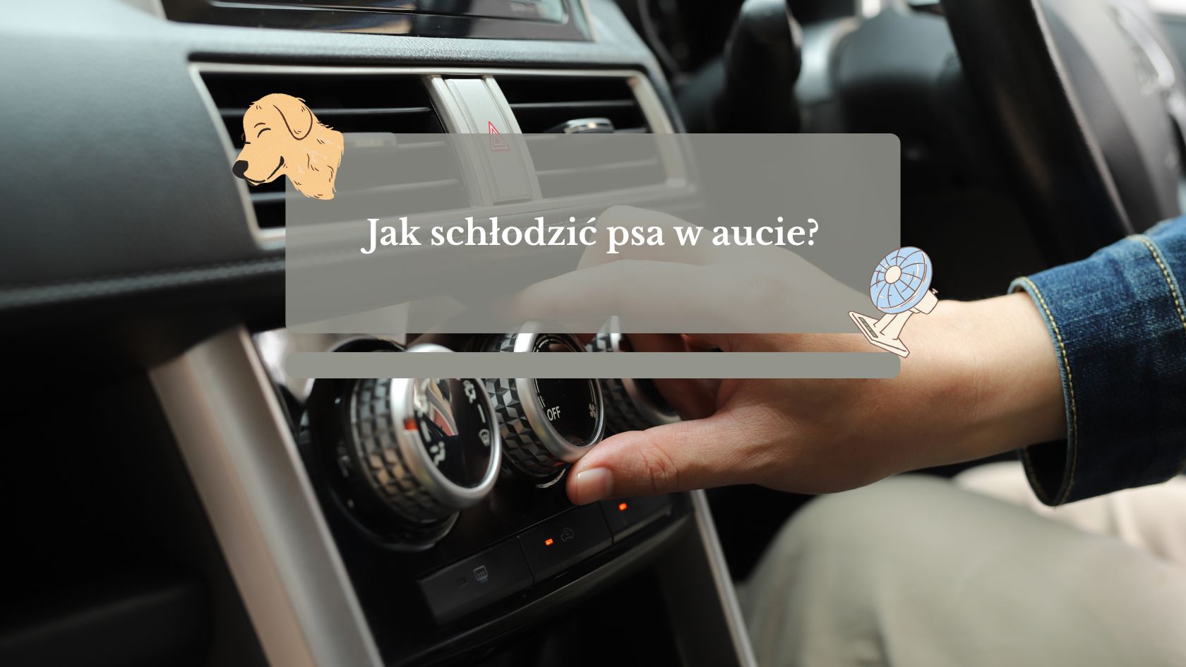 Jak schłodzić psa w aucie