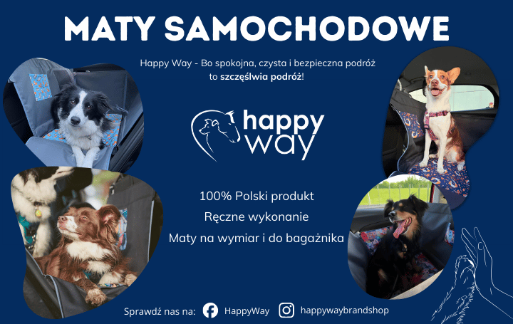 Nowa strona główna