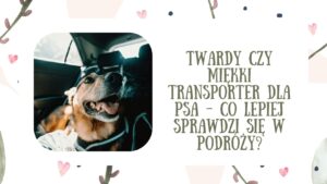 Twardy czy miękki transporter dla psa - co lepiej sprawdzi się w podróży