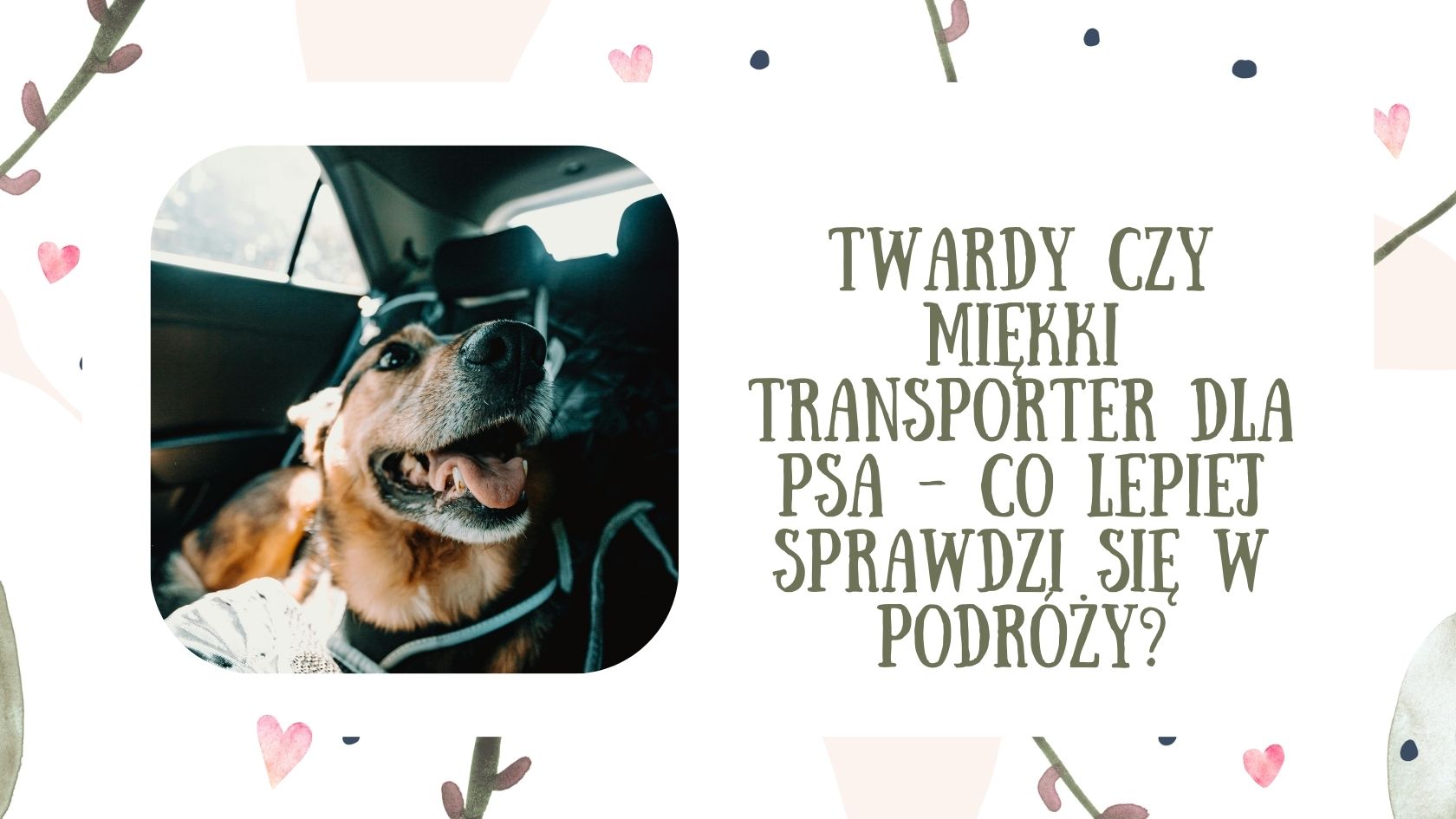 Twardy czy miękki transporter dla psa - co lepiej sprawdzi się w podróży