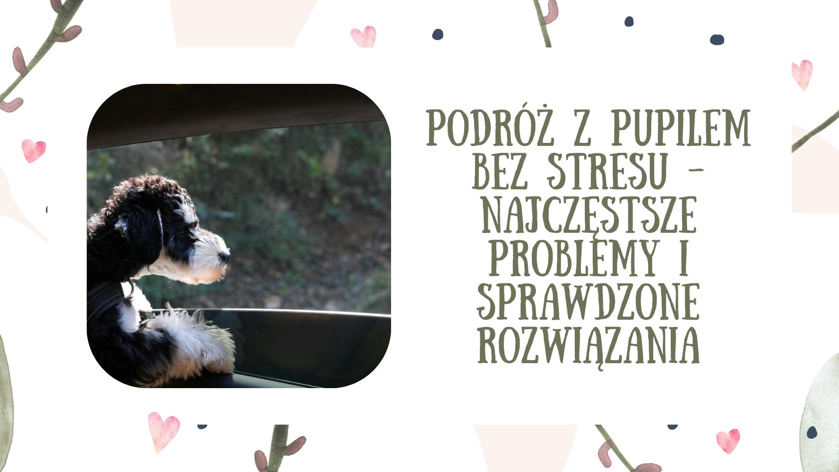 Podróż z pupilem bez stresu - najczęstsze problemy i sprawdzone rozwiązania