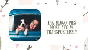 Jak długo pies może być w transporterze? Bezpieczeństwo i komfort podróży psa