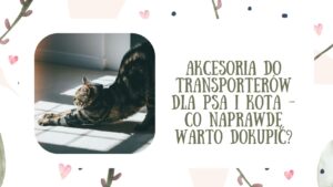 Akcesoria do transporterów dla psa i kota - co naprawdę warto dokupić?