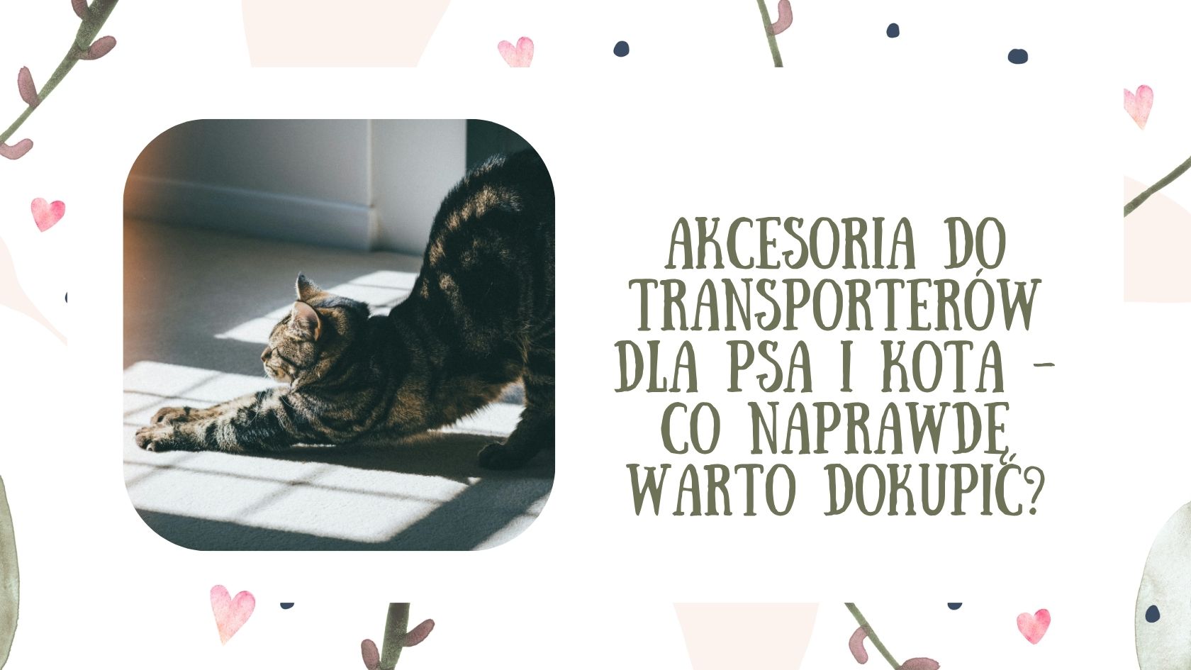 Akcesoria do transporterów dla psa i kota - co naprawdę warto dokupić?