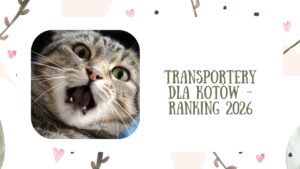 Ranking transporterów dla kotów 2026. Sprawdź, jaki transporter wybrać, na co zwrócić uwagę i które modele zapewnią kotu komfort oraz bezpieczeństwo w podróży.