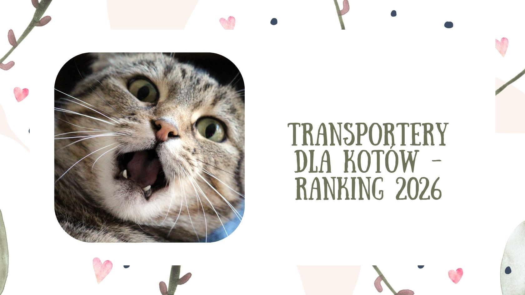 Ranking transporterów dla kotów 2026. Sprawdź, jaki transporter wybrać, na co zwrócić uwagę i które modele zapewnią kotu komfort oraz bezpieczeństwo w podróży.