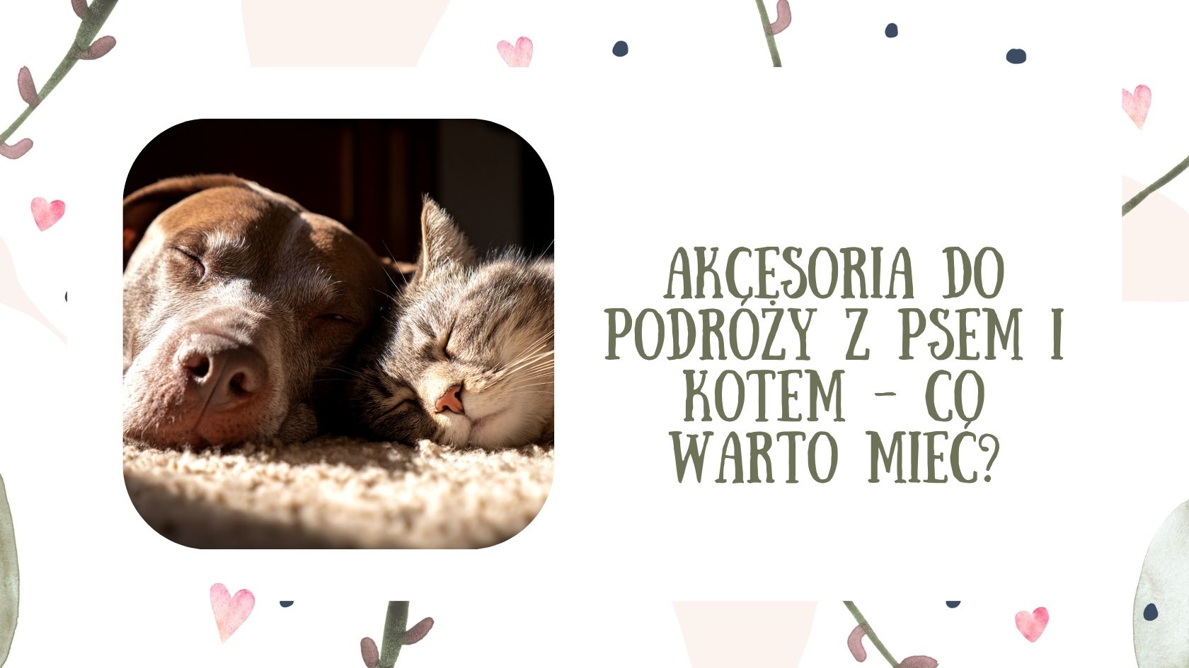 Akcesoria do podróży z psem i kotem - sprawdź, co warto mieć, aby zapewnić pupilowi komfort i bezpieczeństwo w każdej podróży.