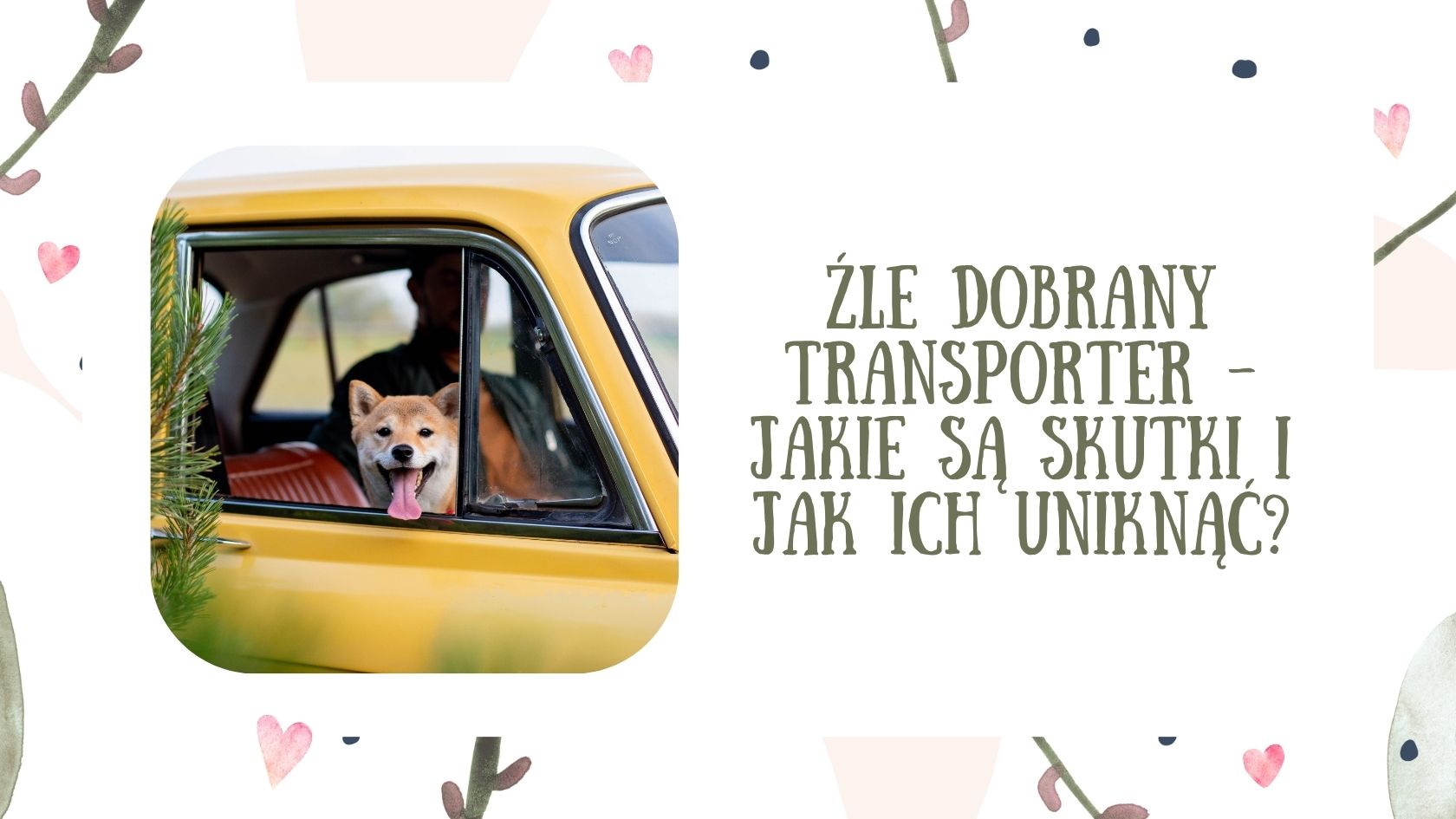 Źle dobrany transporter - jakie są skutki i jak ich uniknąć?
