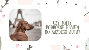 Czy maty podróżne pasują do każdego auta?