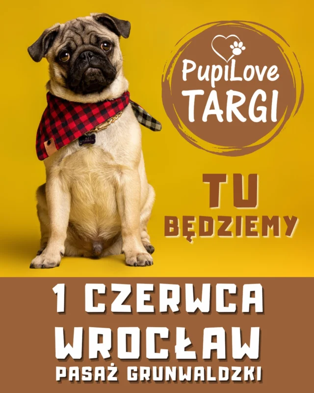 Zapraszamy na spotkanie z nami i szytymi przez nas produktami do Wrocławia 😍 W niedzielę 1 czerwca w Pasażu Grunwaldzkim odbędą się @pupilovetargi  Na naszym stoisku będą maty samochodowe, mobilne legowiska, saszetki na smakołyki, pasy samochodowe i inne akcesoria do aktywnego spędzania czasu z pupilem 🐶🐇😺🌷 Czy Wrocław nas słyszy ? Przyjeżdżamy do Was w ten wyjątkowy dzień 😘 #wrocław #pieswewroclawiu #weekendzpsem #piesnaurlopie #pieswpodróży #wędrówkizpsem #piesmojamiloscia #zpsemprzezżycie #pieskieżycie #neverwalkalone #kochamyzwierzęta