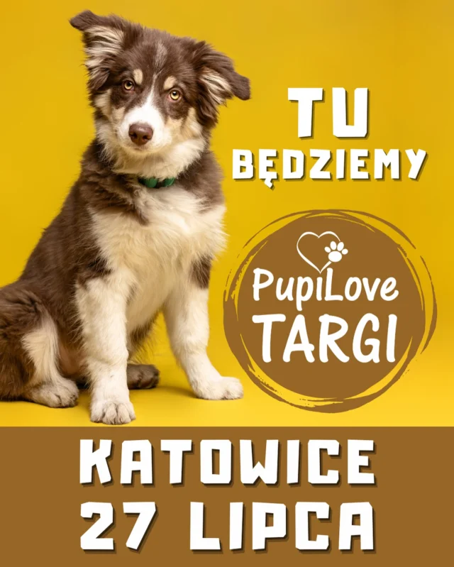 Jedziemy w podróż 🥰 w niedzielę 27 lipca zawitamy do Katowic. W Galerii Libero odbędą się @pupilovetargi  na których oczywiście zawsze jesteśmy 🌷 Chcesz nas poznać osobiście a może masz ochotę tak po prostu na odwiedziny ? Szukasz maty samochodowej dla pupila ? Lubisz polskie produkty ? Cenisz polskie pracownie tworzące w naszym kraju ? Zapraszamy na nasze stoisko 😊🐶😺🐇🐾🐾🍀 Nie możemy doczekać się spotkania z Wami i Waszymi pupilami 😘 #katowice #pieswkatowicach #weekendzpsem #wędrówkizpsem #pieswsamochodzie #przemyślanezakupy #piesmojamiloscia #zpsemwszędzie #zpsemprzezżycie #zpsemnajlepiej #neverwalkalone #dogsofinstagram