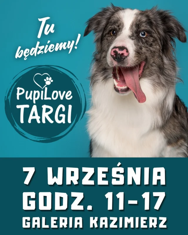 Jedziemy do….Krakowa 😍 już w najbliższy weekend w niedzielę 7 września spotkacie nas w Galerii Kazimierz w Krakowie. Odbędą się tam @pupilovetargi na które gorąco zapraszamy 😊 Na naszym stoisku będą maty samochodowe w różnych rozwiązaniach wielkościowych i konstrukcyjnych w tym maty z poszerzonymi sztywnymi podłogami. Będą też mobilne legowiska, zwierzęce pasy samochodowe, saszetki na smaczki i inne akcesoria do podróżowania i aktywności z pupilem. Pupilove Targi dają możliwość bezpośrednich spotkań, rozmów, pomocy w doborze odpowiedniego rozwiązania do przewozu futrzanych podopiecznych. Cenisz wyroby polskich firm ? Lubisz niebanalny design ? Sprawia Ci radość wspieranie firm tworzących swoje produkty w Polsce ? Zapraszamy na Pupilove Targi i do świata akcesoriów Happy Way. Nasze produkty znajdują się oczywiście online w sklepie na www.happyway.com.pl #pies #pieskieżycie #kot #dogsofinstagram #dogincar #pieswpodróży #pieswaucie #wędrówkizpsem #piesmojamiloscia #matadlapsadosamochodu #krakow #pieswkrakowie