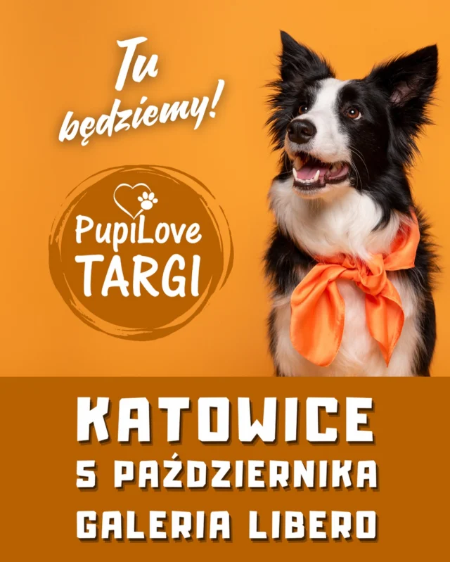 Jedziemy w trasę 🥰 w niedzielę 5 października spotkacie nas w Galerii Libero w Katowicach 😊 Masz psa ? Małego, średniego, dużego ? A może masz kota ? Podróżujesz z pupilem samochodem ? Szukasz rozwiązania jak jeździć z futrzanym podopiecznym i mieć czyste wnętrze auta ? Zapraszamy na nasze stoisko podczas wydarzenia @pupilovetargi ❤️ Czy Katowice nas słyszą ? Chcecie spotkać się z nami bezpośrednio? Przyjdźcie koniecznie na Pupilove Targi 😊🐾🐾🐶😺🐇💖 #matadlapsadosamochodu #piespodróżnik #kot #pies #katowice #wędrówkizpsem #pieskieżycie #zpsemwszędzie #zpsemnajlepiej #śląsk #pieswpodróży #dogdesign