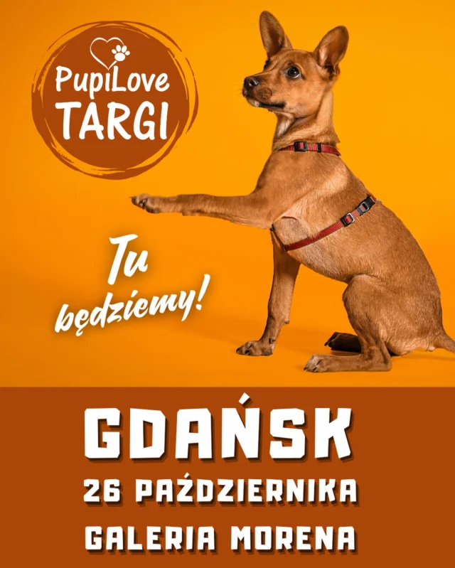 W niedzielę będziemy do Waszej dyspozycji w Gdańsku 😊 W Galerii Morena odbędą się w niedzielę 26 października @pupilovetargi Masz ochotę miło spędzić czas w otoczeniu polskich producentów i dystrybutorów niebanalnych akcesoriów dla futrzanych podopiecznych ? A w dodatku podróżujesz z pupilem ? Lubisz porządek w aucie ? Maty samochodowe Happy Way polecają się do podróży 🐶😺🍀🐾🐾🌷 rozwiązania dla małych, średnich i dużych psów a także dla kotów. Różne wielkości i rozwiązania konstrukcyjne. Nasze flagowe maty z poszerzanymi sztywnymi podłogami także będą na naszym stoisku ❤️ Pies podróżnik ? Kot podróżnik ? Właściciel podróżnik ? Właściciel zwolennik designu, jakości i polskiej produkcji ? Happy Way zaprasza 😊 #gdańsk #galeriamorena #pieskiesprawy #zpsem #aktywniezpsem #wędrówkizpsem #handmade #piesmojamiloscia #zpsemprzezżycie #dogsofinstagram #doglovers #piesnadmorzem #trójmiasto