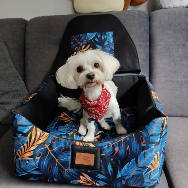 Do podróży…gotowi…start ❤️ Messi przymierzał w domu matę samochodową 2w1. To niebanalne rozwiązanie kryjące w sobie dwie funkcjonalności. Po odpięciu całkowitym tylnej ściany mata samochodowa staje się domowym legowiskiem. Chcesz mieć taką matę dla swojego małego pieska lub kotka ? Zapraszamy online na www.happyway.com.pl i bezpośrednio na wydarzenia @pupilovetargi Szyjemy maty samochodowe dla małych, średnich i dużych psów. Bogaty wybór w postaci gotowych, odszytych mat pozwala na bieżące realizowanie zamówień. Naszą pracownia bardzo sprawnie odszywa zamówienia indywidualne w tym maty pod wymiar aut. Masz pytania ? Dzwoń, pisz 😊 Chcesz mieć szybko matę samochodową? Wybieraj z oferty dostępnych do szybkiej wysyłki produktów. #pieswpodróży #pieswaucie #pieskieżycie #dogsofinstagram #polskafirma #wędrówkizpsem #piesmojamiloscia #polska #dogincar