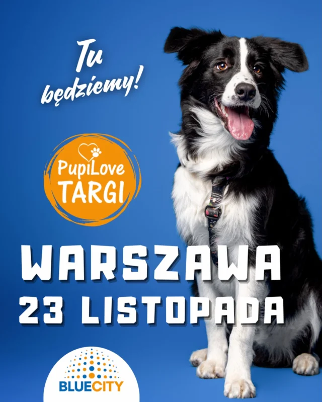 Hej ho, hej ho…do pracy by się szło 😊 my w niedzielę 23 listopada zawitamy z naszymi produktami do CH Blue City w Warszawie. Masz zwierzaka ? Podróżujesz z nim samochodem ? Lubisz porządek i czystość w aucie ? Chcesz stworzyć strefę komfortu i wygody dla psa ? Nasze maty samochodowe, transportery tkaninowe, mobilne legowiska etc polecają się na podróże małe i duże 🥰 Podczas wydarzeń @pupilovetargi możesz poznać nas osobiście, oglądać, przymierzać i kupować szyte w naszej rodzinnej pracowni akcesoria do aktywnego spędzania czasu z futrzanym podopiecznym. Czy Warszawa nas słyszy ? Czekamy na Was w najbliższą niedzielę w CH Blue City 🌷🍀🌷 #warszawa #pieswwarszawie #zawszezpsem #pieskieżycie #wędrówkizpsem #piesmojamiloscia #zawszerazem #dogsofinstagram #warsawdog #pieswaucie #czystysamochód #detailingwarszawa #zpsemwszędzie #pies #piesnajlepszyprzyjaciel #nadzieja #dogaccesories #psieszczęście